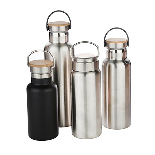 350/500/750ml Vacuum Insulated Water Bottle