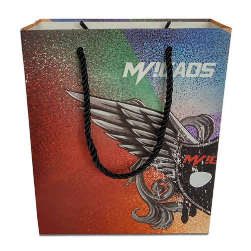 Color Gloss Paper Tote Bag (1).jpg
