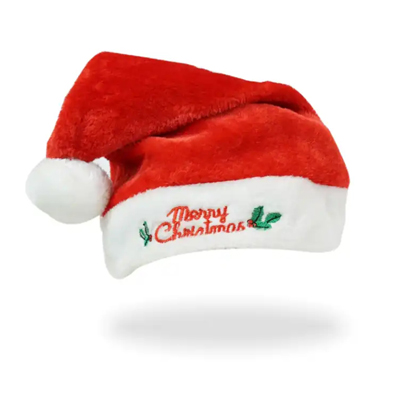 Embroidery Santa Hat